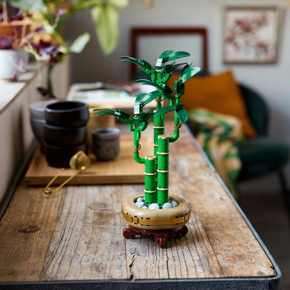 Lego Botanicals 10344 Lucky Bamboo Building Set for Adults Age 18 & Up - Glamorous Boutique