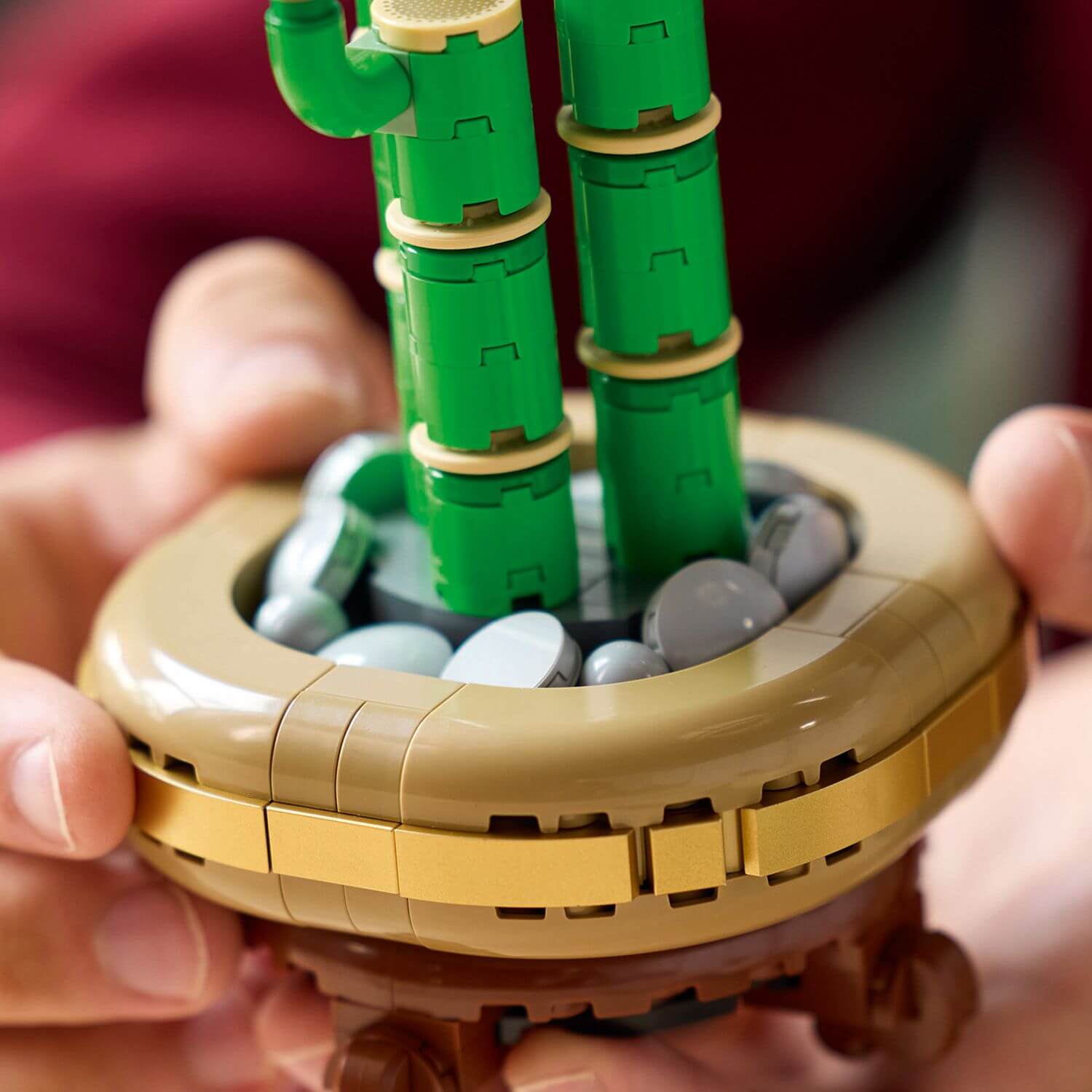 Lego Botanicals 10344 Lucky Bamboo Building Set for Adults Age 18 & Up - Glamorous Boutique