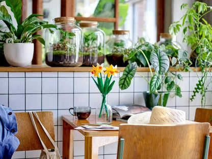 Lego Botanicals 40747 Daffodils Building Toy Gift for Ages 8 and Up - Glamorous Boutique